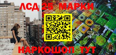 винт Можга